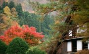 この秋行きたい紅葉と日本の世界遺産５選　白川郷編